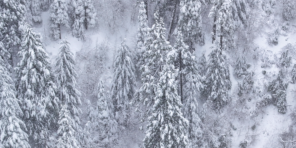 I was alone with God every night": Hunter spent almost 3 weeks lost in the wilderness before God suggested, "let's go for a walk.