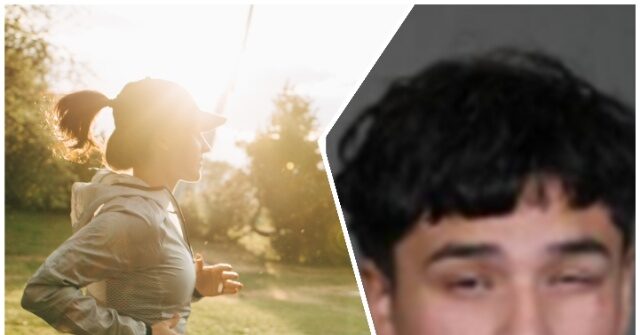 Illegal Immigrant Released by Biden Charged in Violent Hammer Assault on Texas Woman in Park