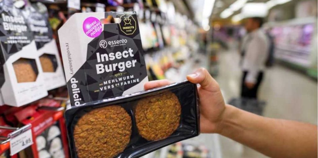Insects for you, meat for me: How corporations dominate the meat industry