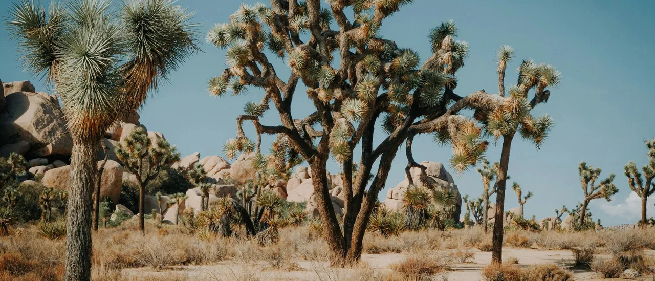 Is Water Safety the Next National Security Concern?