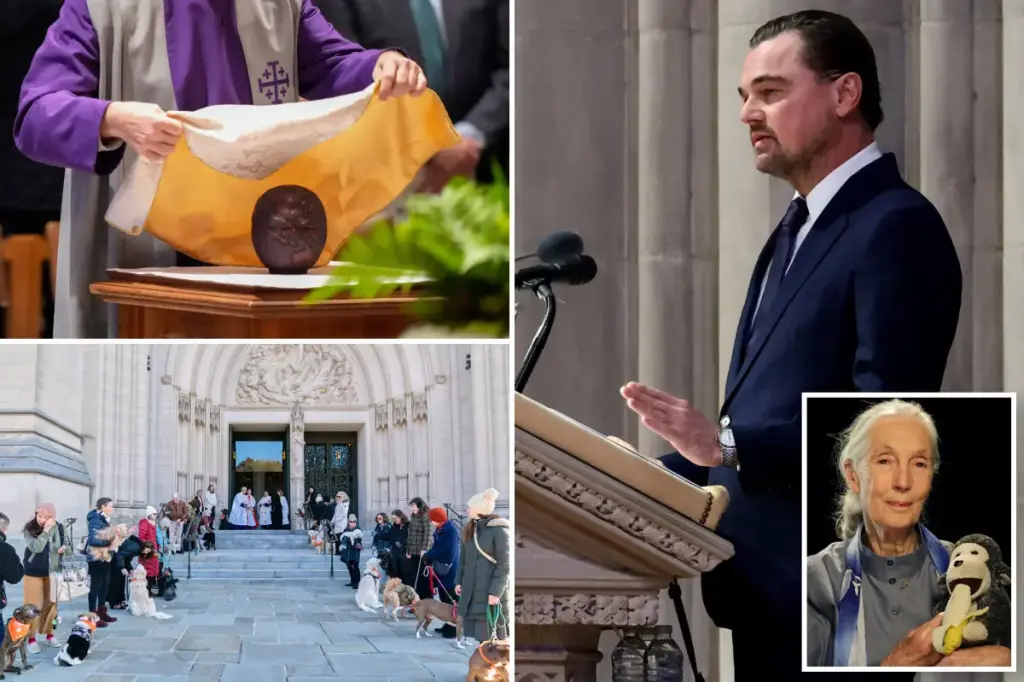 Jane Goodall honored in heartfelt funeral with rescue dogs and Leonardo DiCaprio present