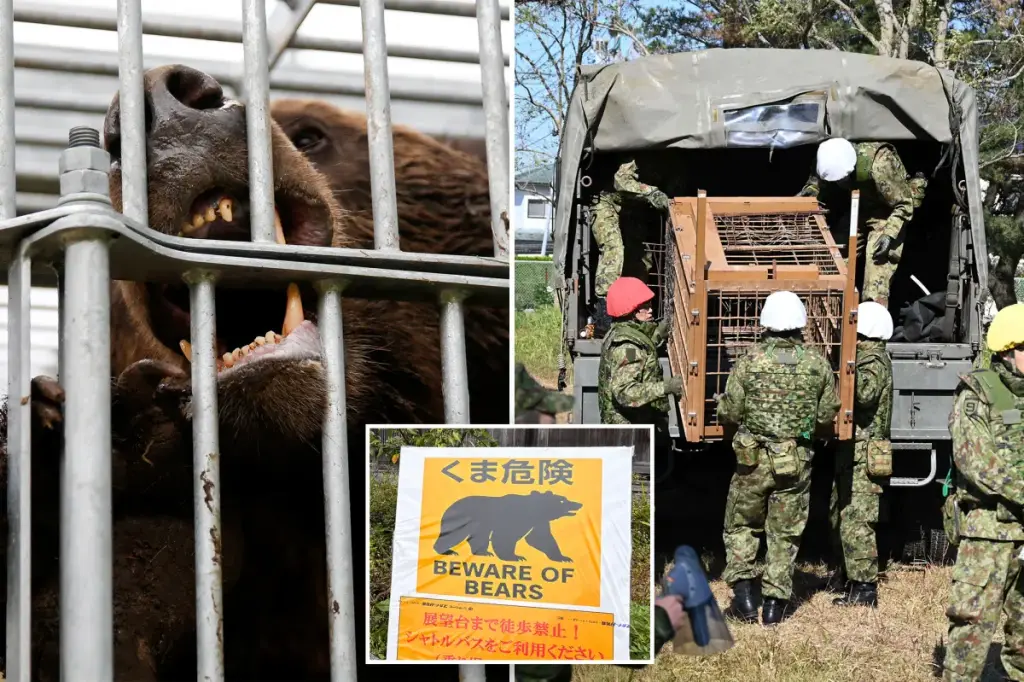 Japan sends soldiers to assist in addressing severe bear attacks
