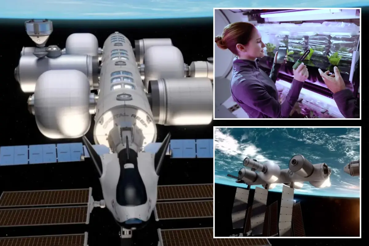 Jeff Bezos aims to establish human settlement in space — this is what it might resemble