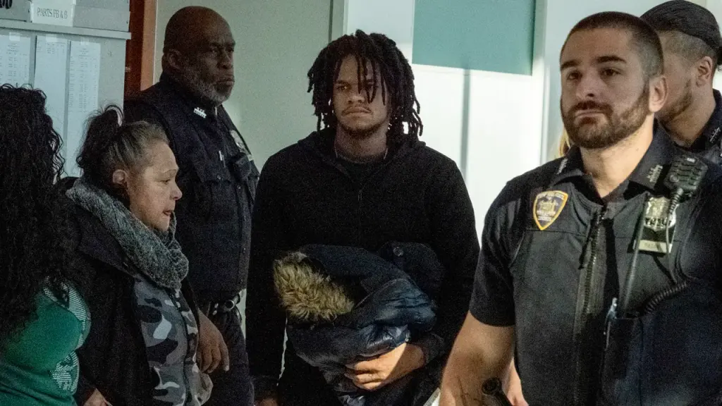 Judge in New York City Calls for Harshest Penalty for Rapper Charged with Cat Sacrifice