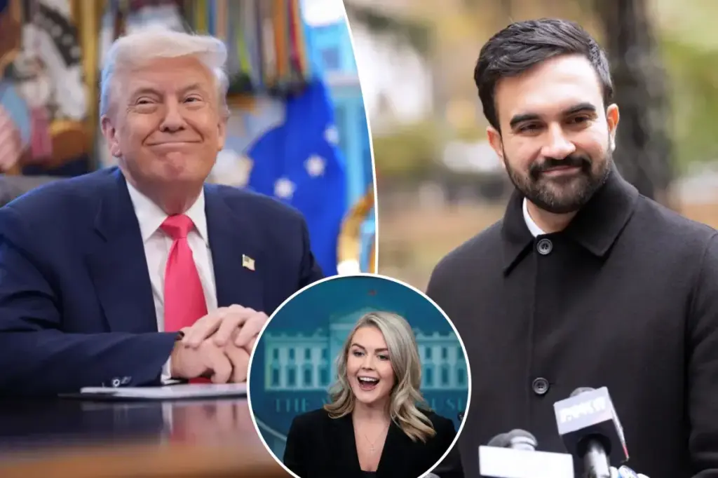 Karoline Leavitt warns about a 'communist' before the Mamdani-Trump meeting at the White House.