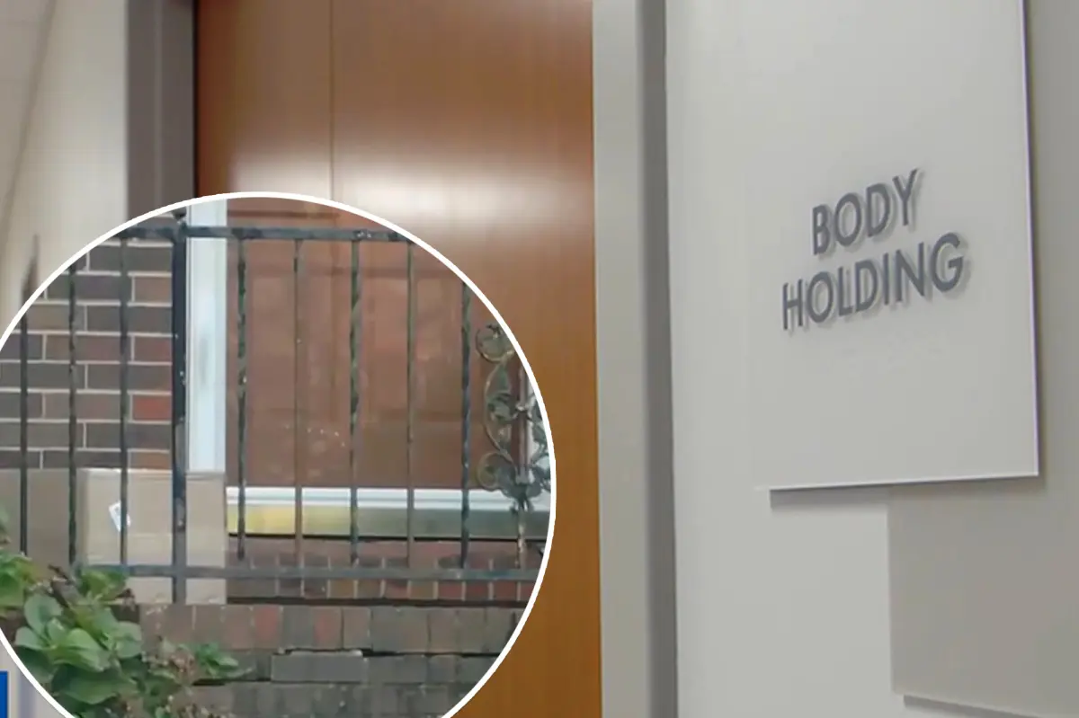 Kentucky woman gets package of human 'arms and fingers' instead of her medicine