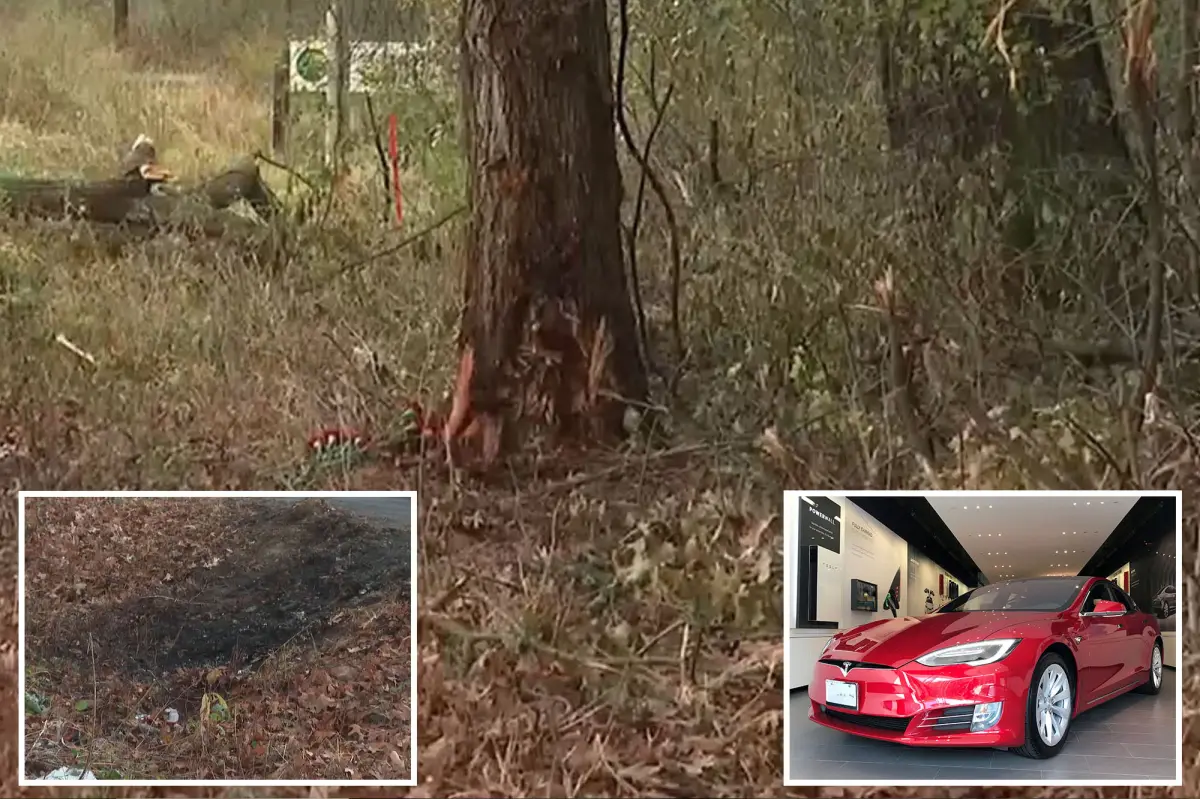 Kids take legal action against Tesla after parents die in fire due to claimed door handle issue.