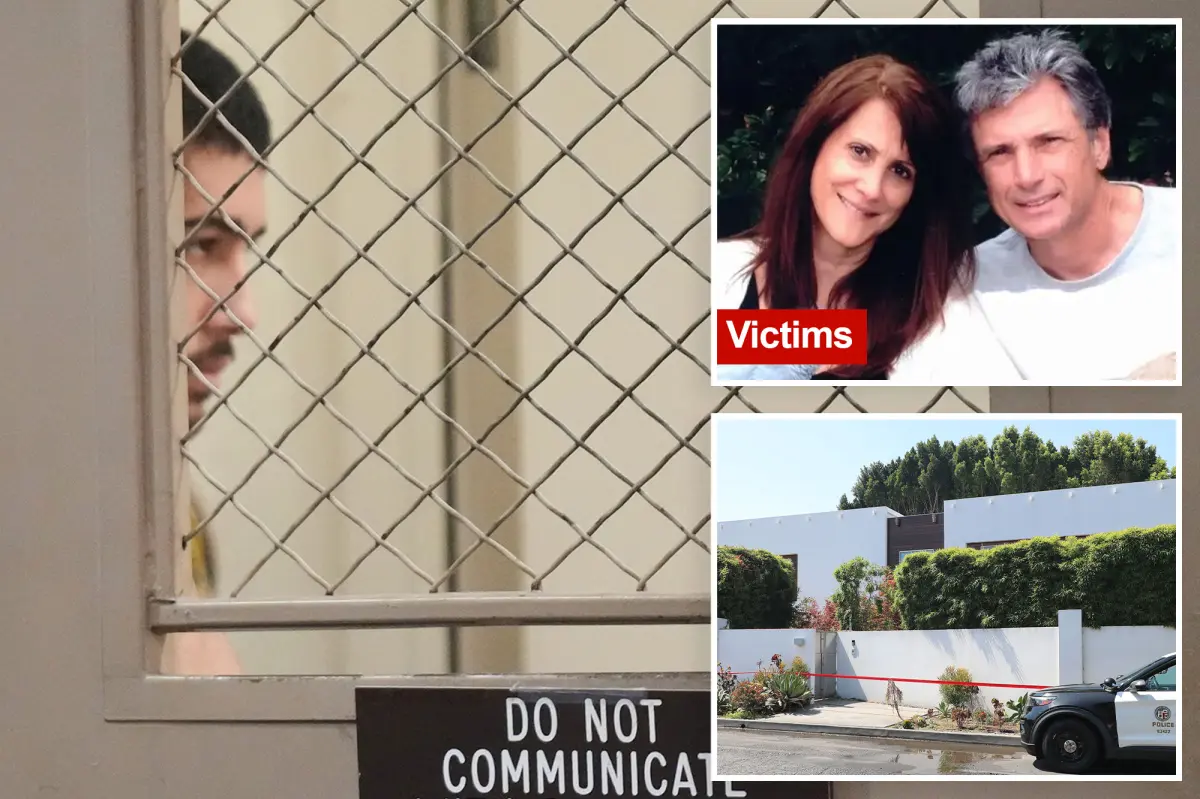 LA drug user accused in the murders of 'American Idol' executive Robin Kaye and her husband considered unfit for trial.