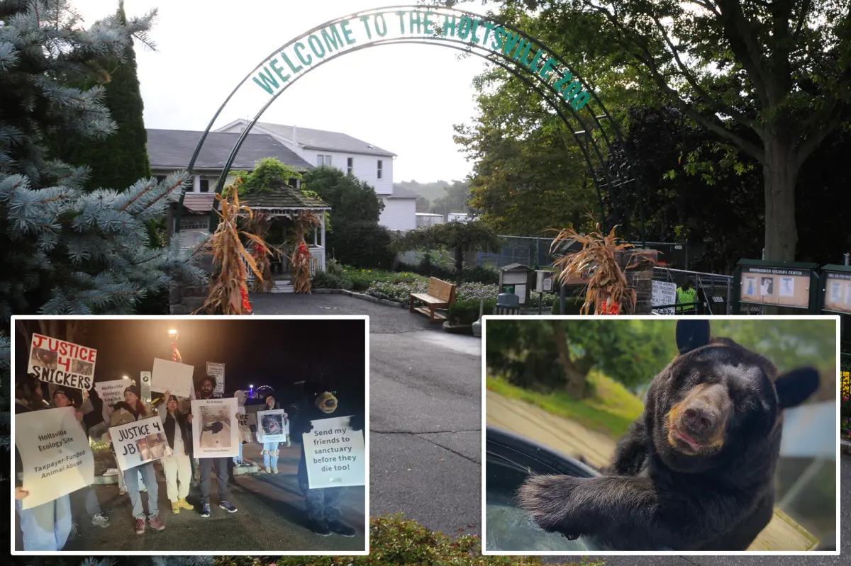 Largest and most contentious zoo in Long Island will shut down after budget cuts: 'Very sad'