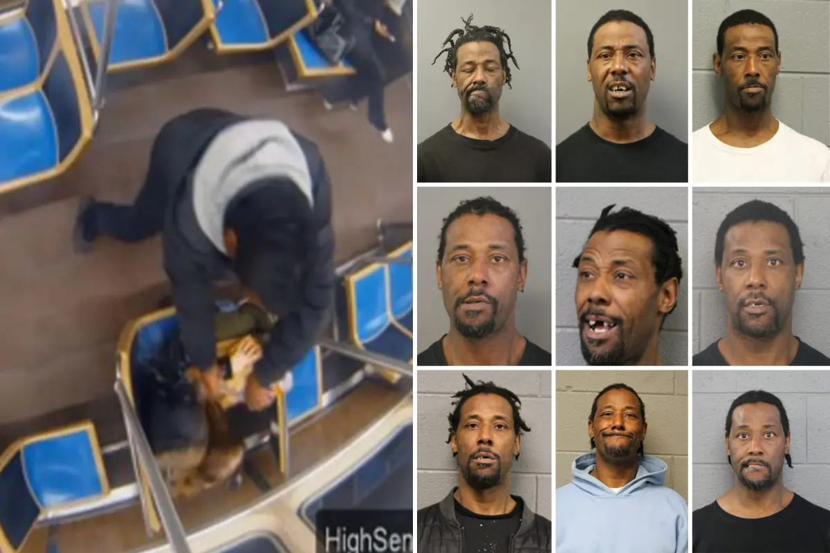 Lawrence Reed, a repeat offender from Chicago, was arrested more than 70 times before he set a woman on fire in an attack on a train.