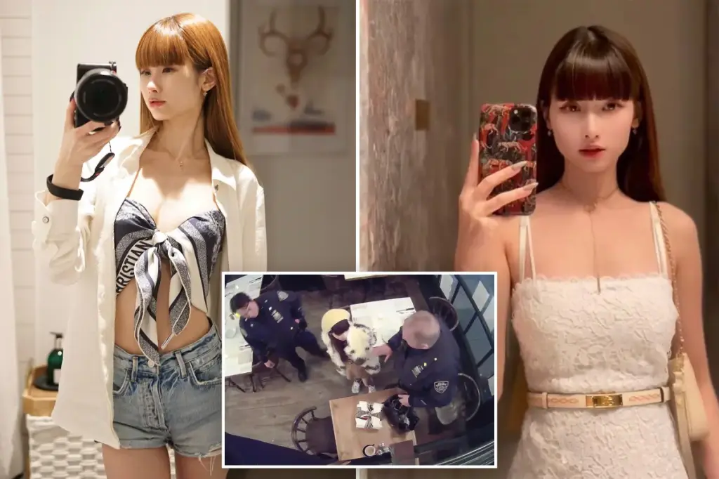 Lawyer for NYC's accused dine-and-dash suspect requests psychological evaluation, while manager of recent targeted restaurant obtains order of protection.