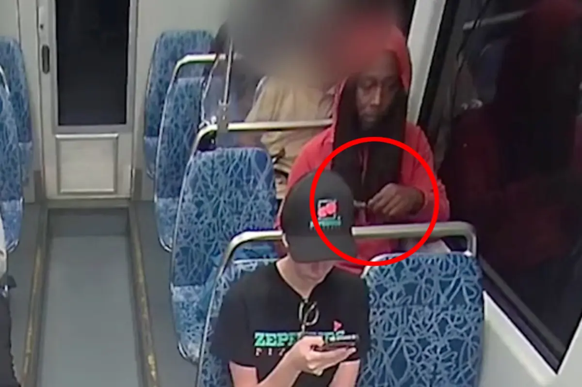 Liberal judges need to be held responsible for not imprisoning violent repeat offenders.