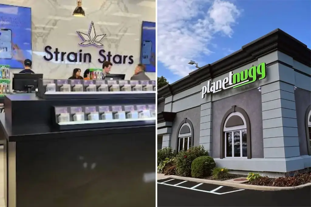 Long Island cannabis stores offer the highest-priced weed in New York and surpass all other areas in sales.