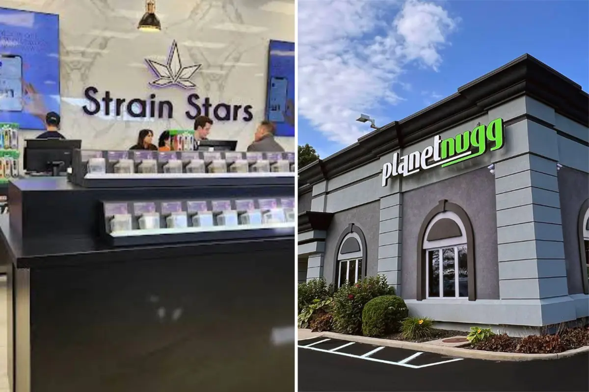 Long Island cannabis stores offer the highest-priced weed in New York and surpass all other areas in sales.