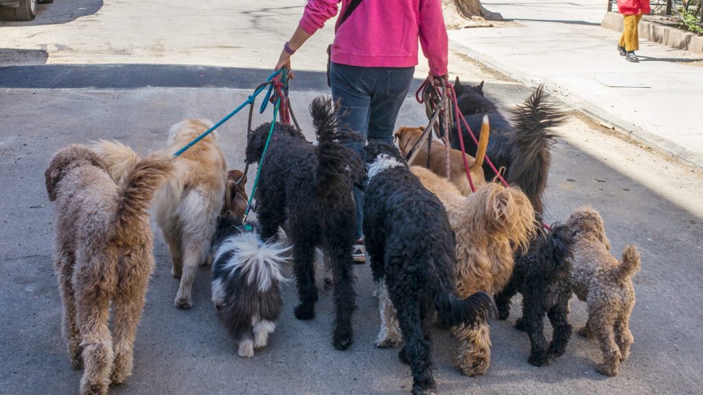 Looking ahead globally: What is driving the market?