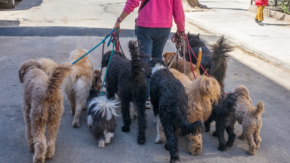 Looking ahead globally: What is driving the market?