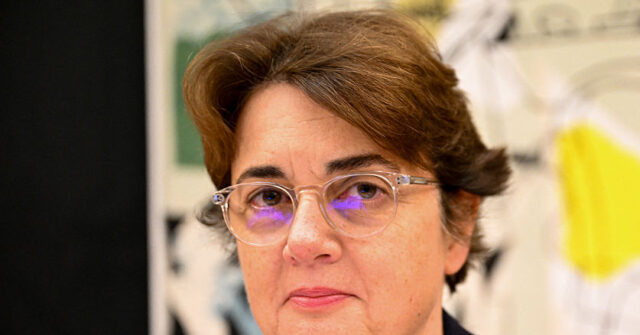 Louvre Museum in Paris Adds New Security Cameras Following Theft