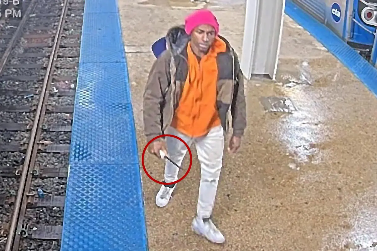 Madman stabs woman at Chicago train station three months after Iryna Zarutska's killing