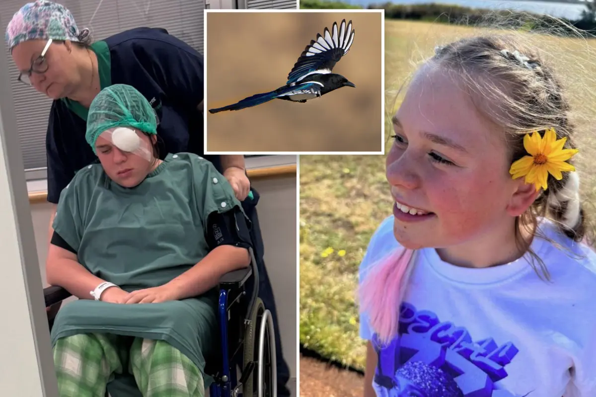 Magpie incident causes 12-year-old girl to struggle to preserve her vision