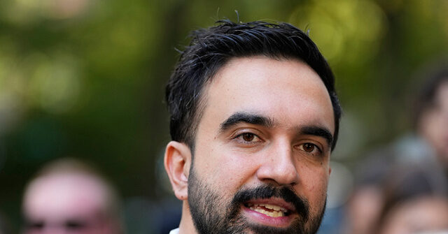 Mamdani, Radical DSA Took Over the Democratic Party's Remains