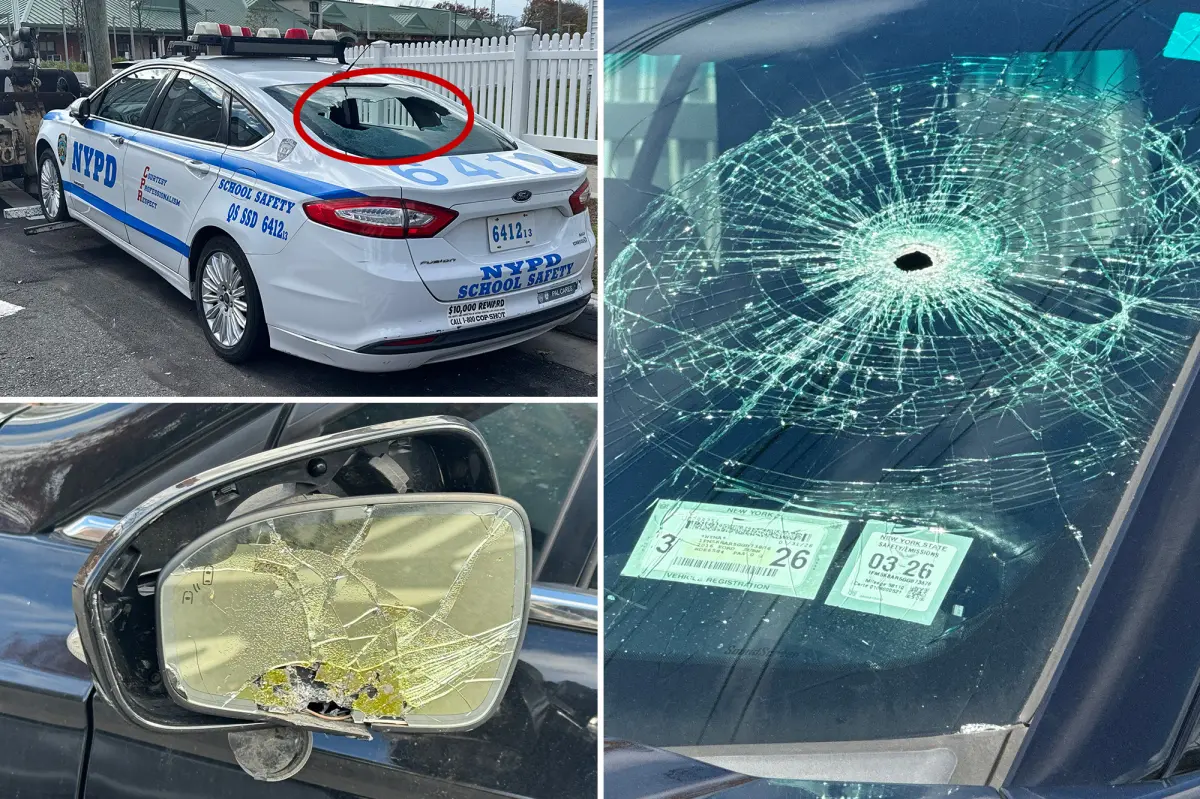 Man accused of damaging and slashing the tires of 11 police cars in a Lexus caught and quickly released in court