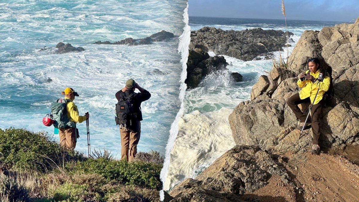 Man feared lost after wave pulls three into Pacific Ocean in California