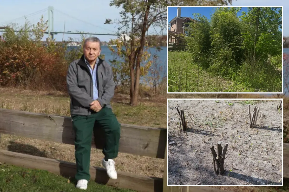Man in NYC cuts down city trees to enhance his view, say activists.