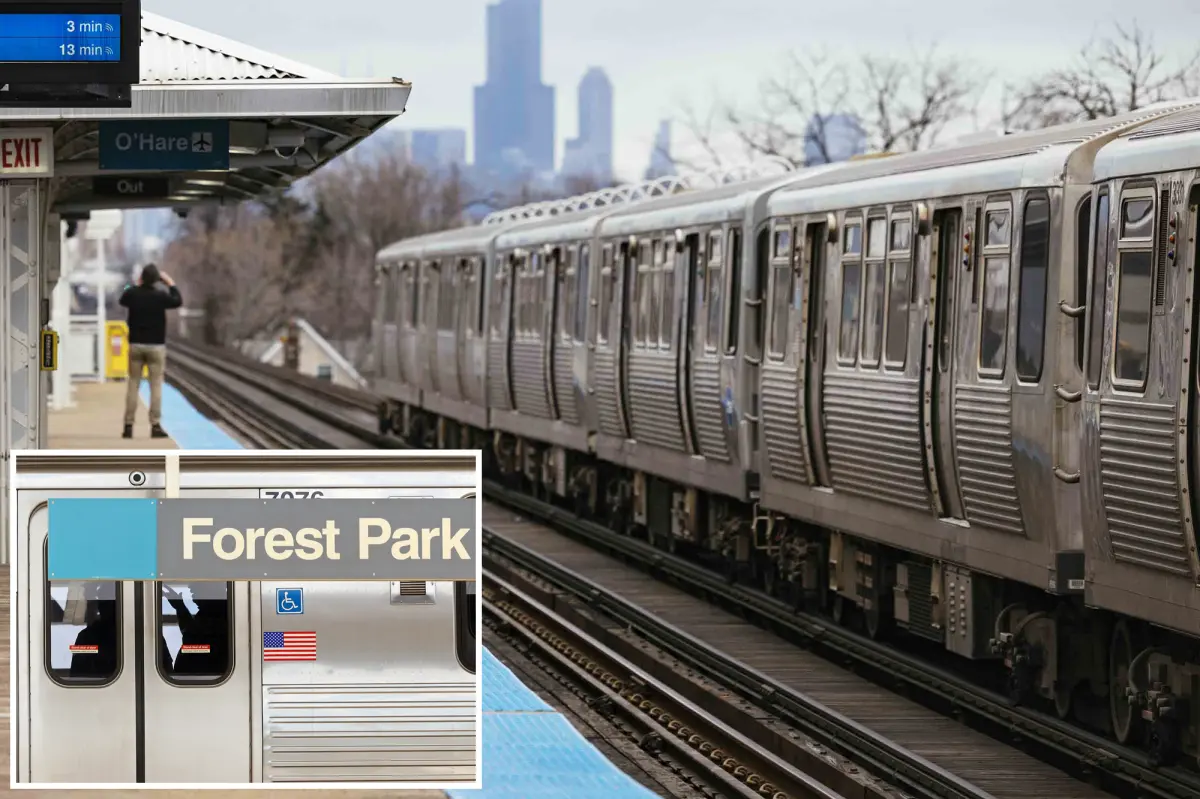 Man sets female passenger, 26, on fire on Chicago train