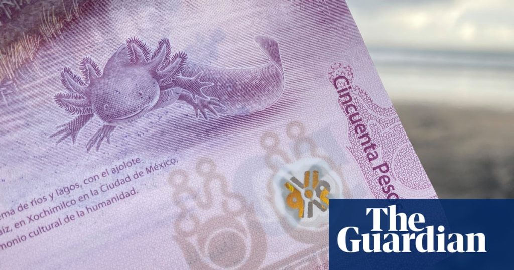Many axolotls: the amphibian-themed banknote that Mexicans prefer to keep