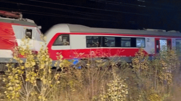 Mistake by a person reported as the reason for Slovakia train crash involving 800 passengers