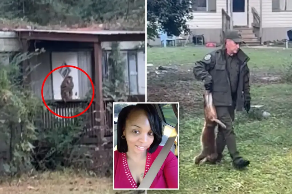 Mom in Mississippi kills monkey that got loose from flipped truck to keep her kids safe