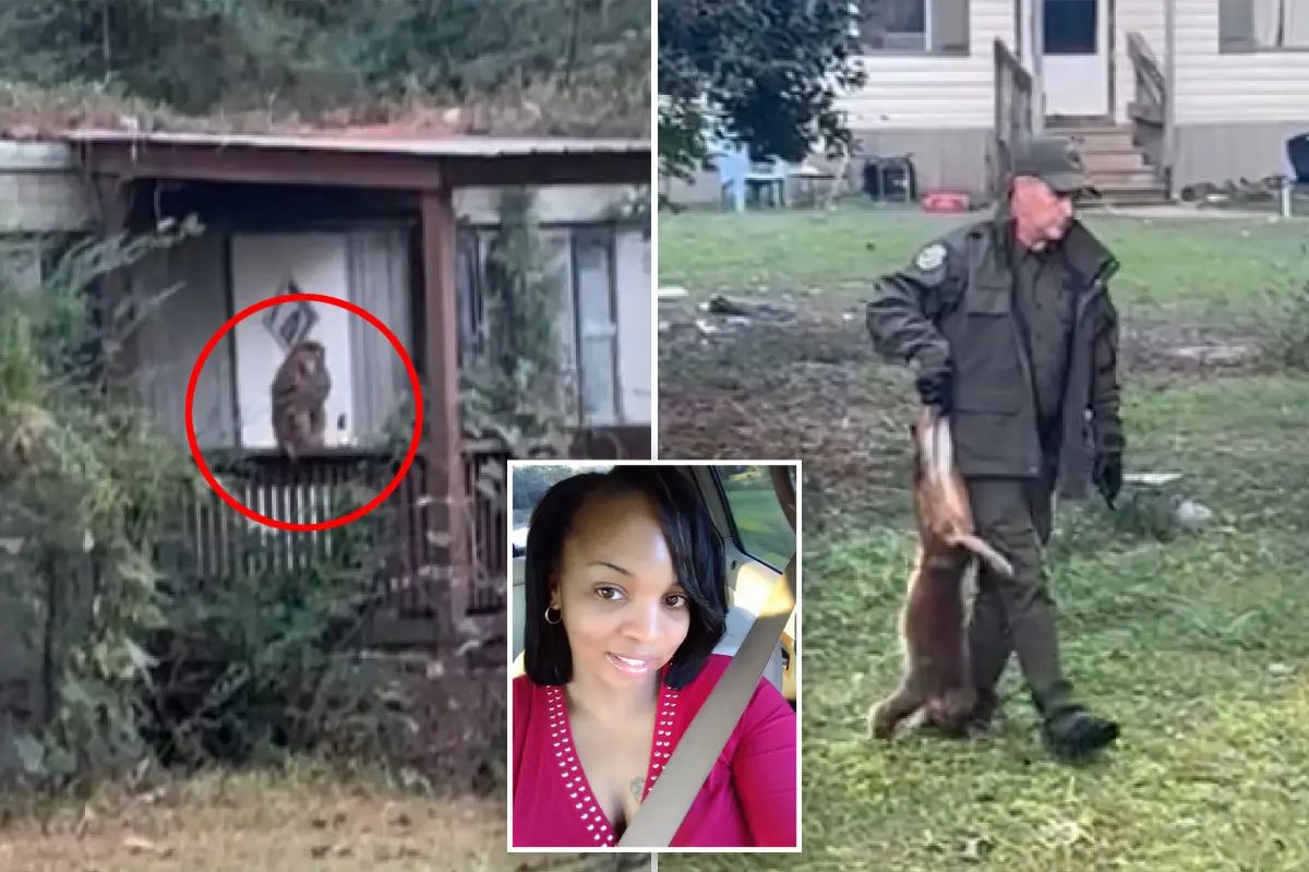 Mom in Mississippi kills monkey that got loose from flipped truck to keep her kids safe