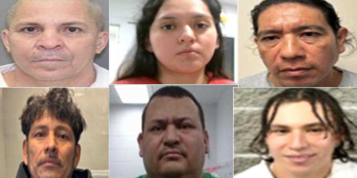 More criminals with serious charges taken into custody this weekend