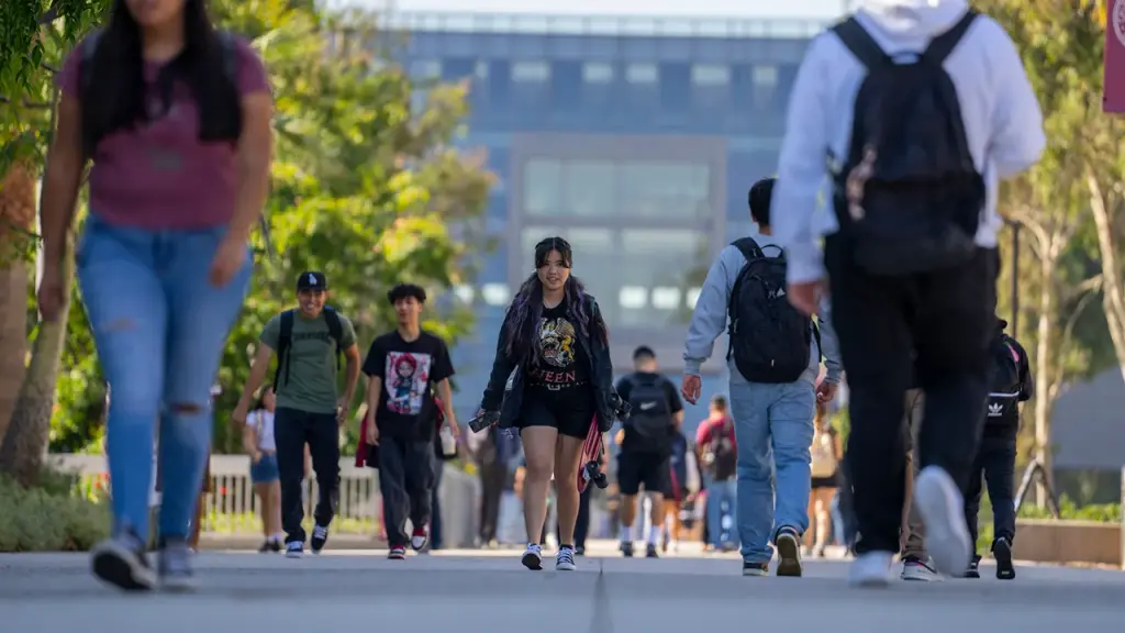 Most Americans believe that four-year college degrees are not worth their expense