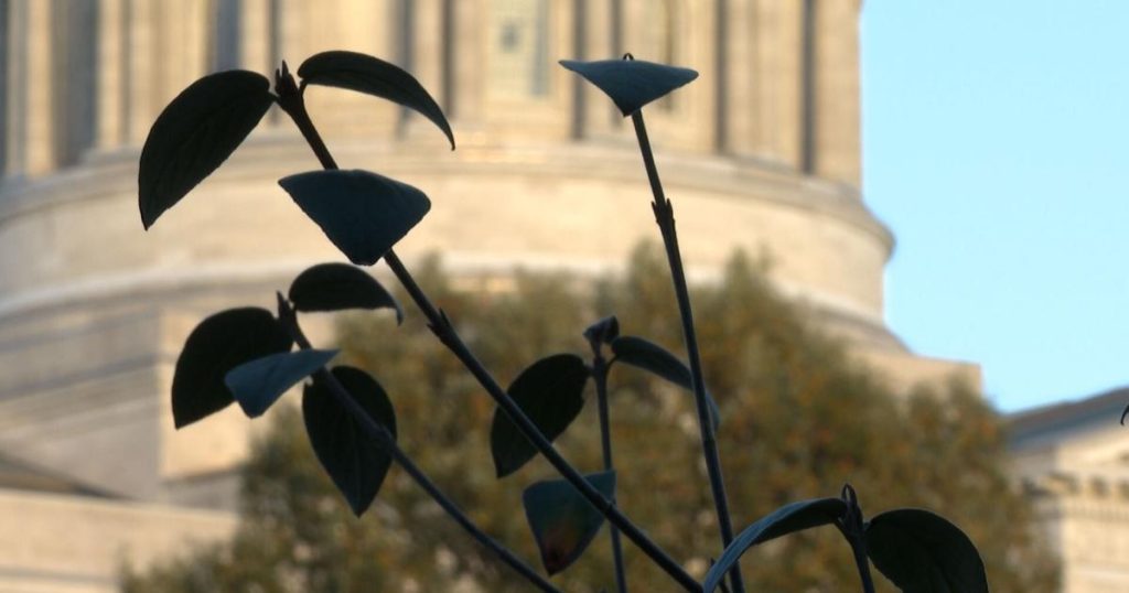 Most health insurers in Missouri are expected to increase rates as the closure agreement leaves out ACA credits.