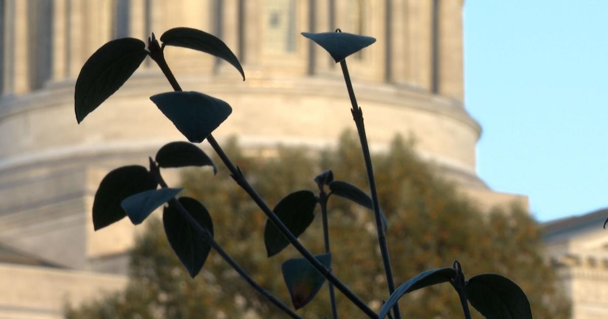 Most health insurers in Missouri are expected to increase rates as the closure agreement leaves out ACA credits.