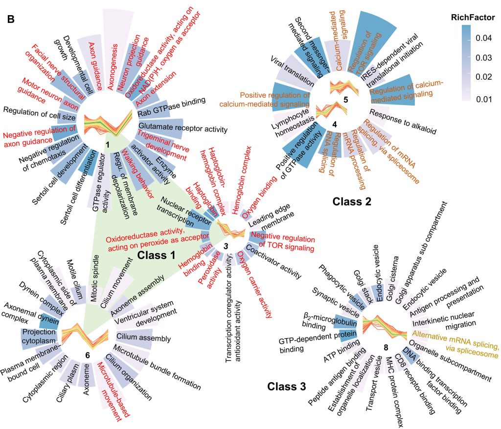 NAD⁺ improves memory in Alzheimer's disease models by fixing RNA mistakes
