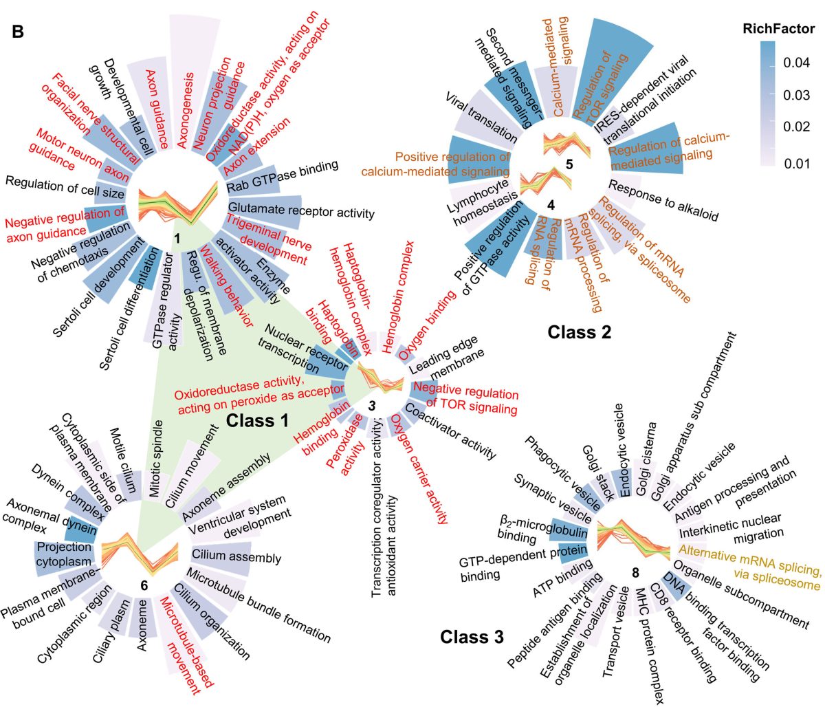 NAD⁺ improves memory in Alzheimer's disease models by fixing RNA mistakes