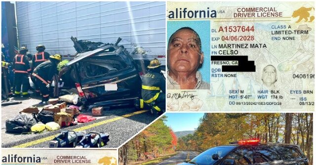 Nationwide Raids Arrest 250 Foreign Truck Drivers — DHS Cautions That Cartel Exploitation Poses a Risk to National Security