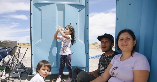 Nearly half of immigrant families with small children receive food assistance.