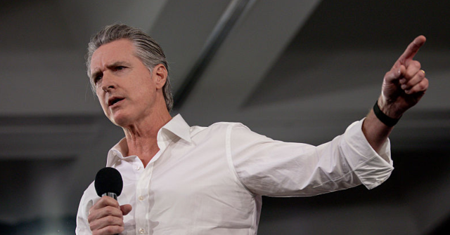 New Hampshire 2028 Primary Survey Reveals Divisions Among Democrats