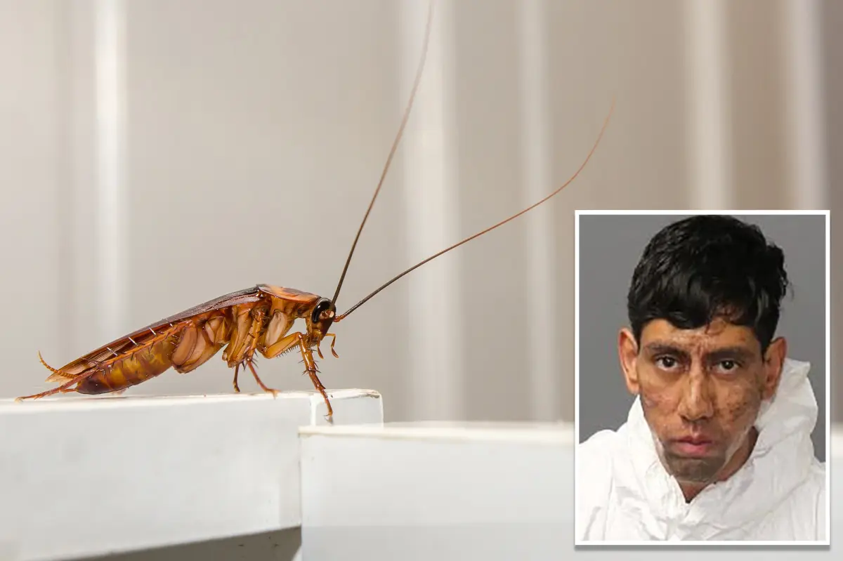New Mexico man reportedly killed two people after getting a 'coded message' to do so in a cockroach.