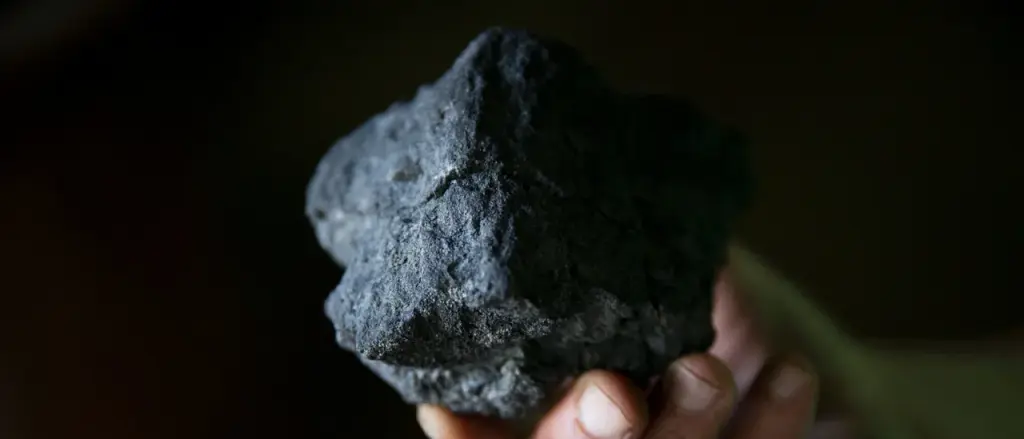 New Study Reveals the Impact of Misguided Green Policies on Suffering