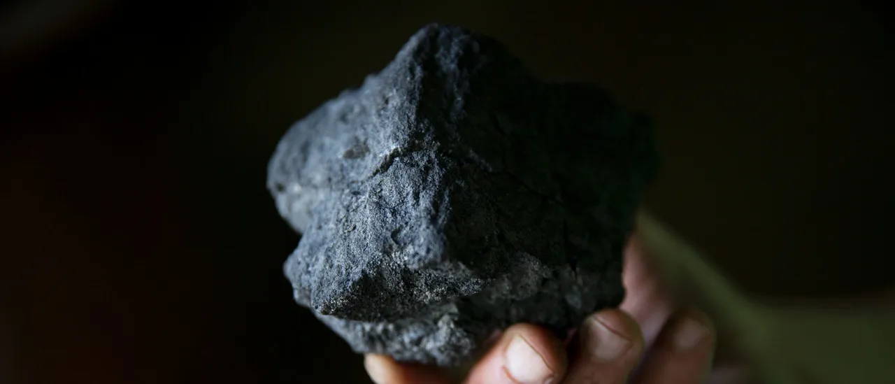 New Study Reveals the Impact of Misguided Green Policies on Suffering