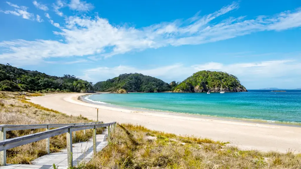 New Zealand eases its visa rules, experiences a 72% increase in US applications