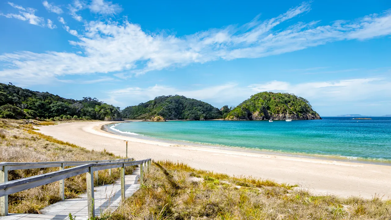 New Zealand eases its visa rules, experiences a 72% increase in US applications