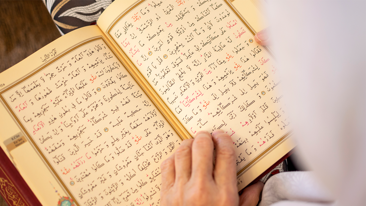 Opponents of Islam confront supporters of Muslims in Dearborn, Michigan