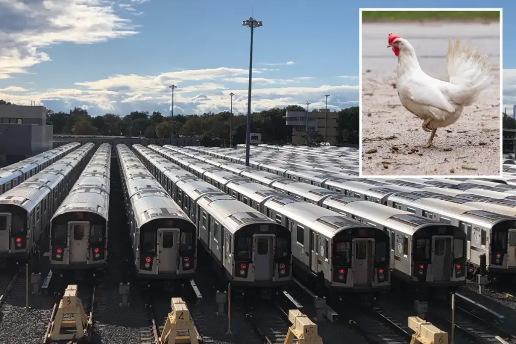 Owner leaves chicken behind on Queens subway, causing a mess on the train