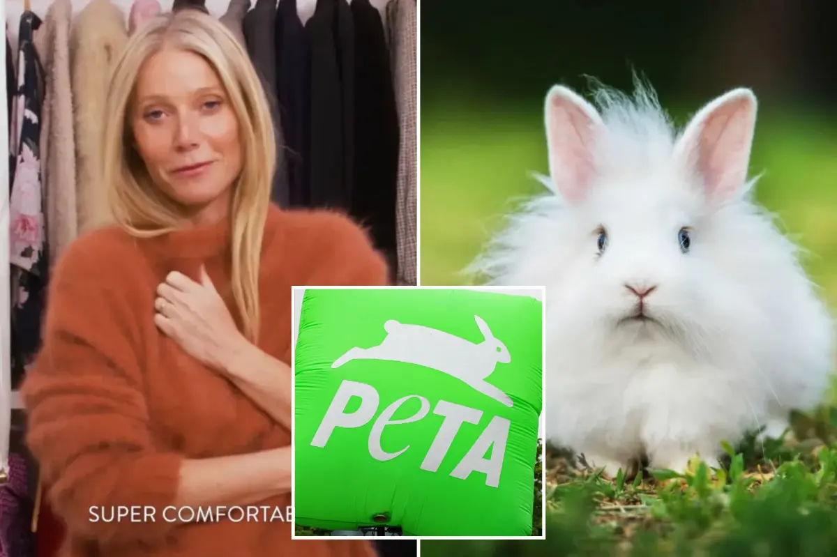 PETA calls on Gwyneth Paltrow's Goop to stop using fur from adorable angora rabbits enduring suffering in Chinese factories