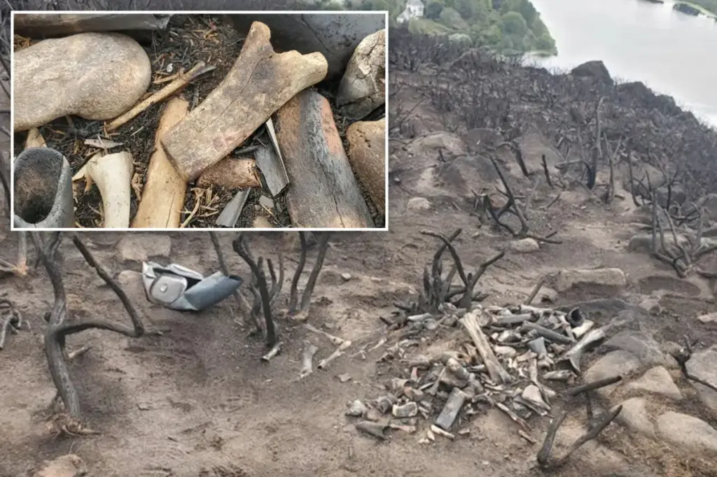 Park rangers find an 'odd' collection of bones on famous Scottish hill following a wildfire